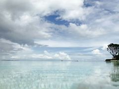 -瑰丽酒店·海吧·天际下午茶·现场DJ·天台酒吧