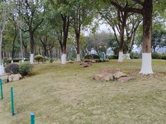 -铁山坪森林公园