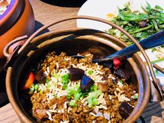 -雀舞云南菜(乐客城店)