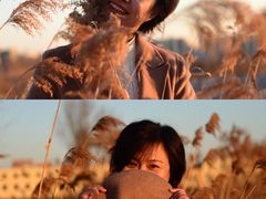 -蒲河岛湿地公园
