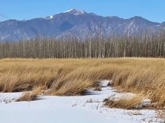 -野鸭湖国家湿地公园