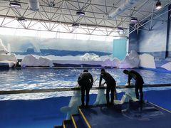 -秦皇岛乐岛海洋王国