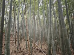 -九龙潭景区