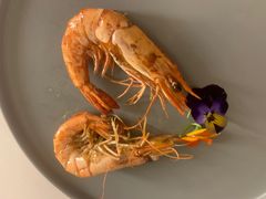 -天空花园餐吧·生日·团建(南山店)