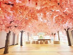 -陆地游轮西山温泉号