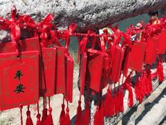 -银瓶嘴森林公园