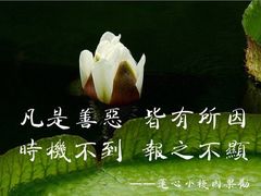 -美联众合动物医院(唯恩分院)