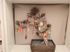 -二酉书店TOYOU BOOKS