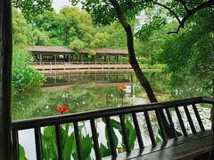-东湖落雁景区