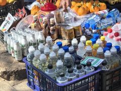 -宝岩生态观光园