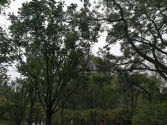 -迎泽公园