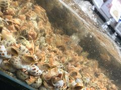 -盒马鲜生(皇庭广场店)