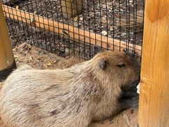 -南戴河国际娱乐中心