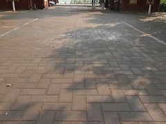 -绿堤公园