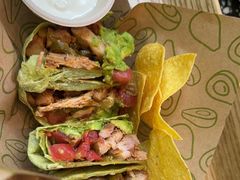 -油梨树AVOCADO TREE(顺义新国展店)