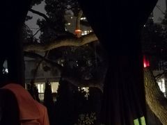 android_upload_pic-花马天堂云南餐厅 Lost Heaven(高邮路店)