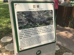 -野象谷景区