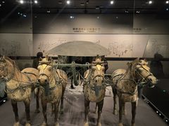 -秦始皇帝陵博物院-丽山园