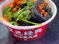 -黑色经典臭豆腐·湖南特产(坡子街店)