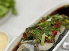 凉拌鲫鱼-浮何烤铺(桐梓林店)