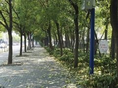 -上海大学生体育中心游泳馆(松江店)
