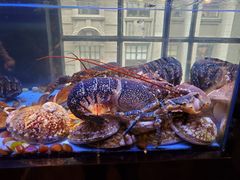 -皇朝会.经典传统粤菜(外滩店)