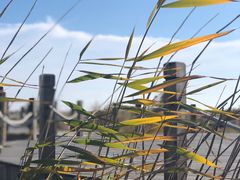 -农垦当壁镇兴凯湖旅游度假区