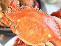 -半岛听涛蒸汽海鲜自助(K11店)