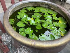 -蓬莱阁景区
