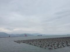 -罗源湾8号渔排