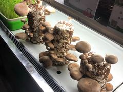 -番食园鲜食火锅(高新店)