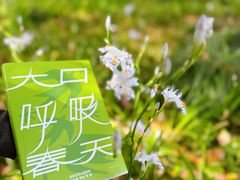-蠡湖大桥公园