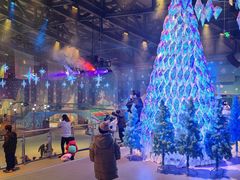 -西安银基冰雪世界