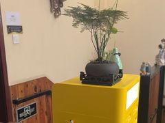 -竹雀古法采耳(青岛麦凯乐店)