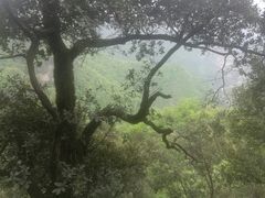-塔云山
