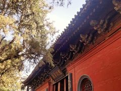 -洛阳白马寺