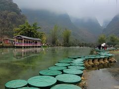 -靖西鹅泉风景区