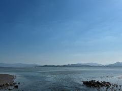 -深圳湾公园(南山区)