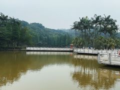 -西樵山风景名胜区-天湖公园