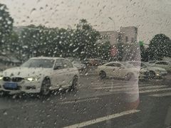 -杨氏青龙虾·羊蝎子(托乐嘉店)