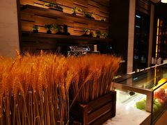 -四季酒店·空中花园 Aria on 9