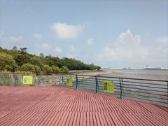 -上海吴淞炮台湾国家湿地公园