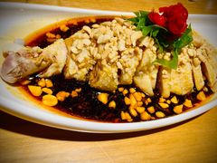 椒麻口水鸡-粥全粥到海鲜家常菜·海肠捞饭(嫩江路店)