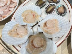涮扇贝-日进一片海.生腌海鲜火锅.宵夜烧烤(三里屯总店)