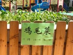 -宋庆龄幼儿园(虹梅路)