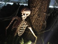 -济南方特东方神画