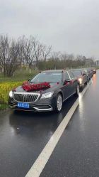 -蚂蚁婚车