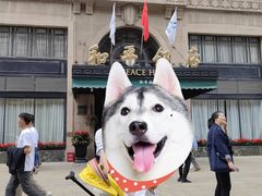 -上海和平饭店 Fairmont Peace Hotel
