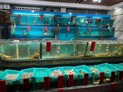 水产区-海大大蒸汽海鲜餐厅·粤菜·特色小炒(欢乐颂店)