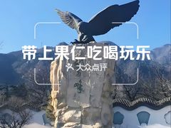 -北京鹫峰国家森林公园